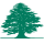 Middle East Airlines logo